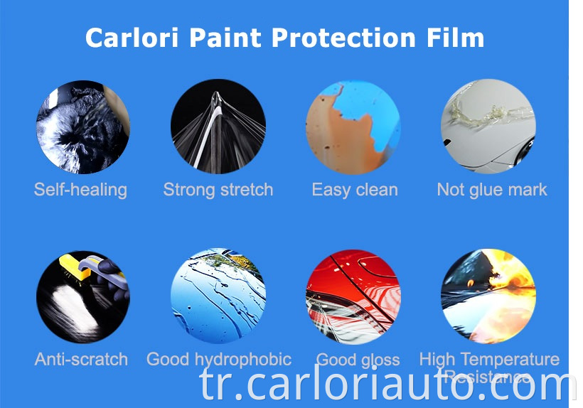 Paint Protection Film